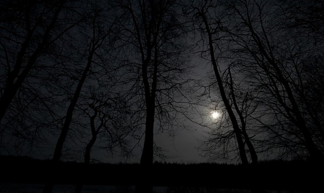 "W księżycową, jasną noc" Wierzycie, czy nie, ale tak wygląda Jelenia Dolina nocą. (Luty 2008)