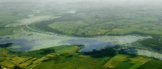 Jezioro Drużno (Czerwiec 2008)