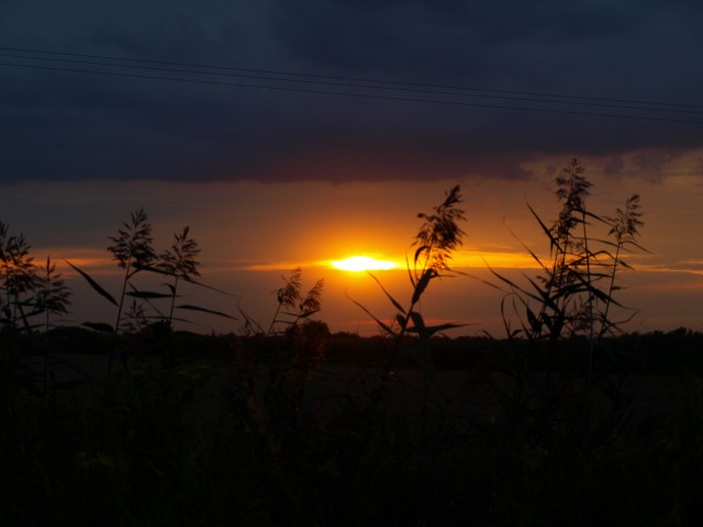 Zachód słońca w Nowakowie