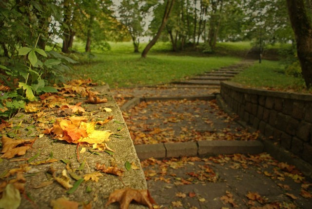 a w parkach jesień... (Październik 2008)