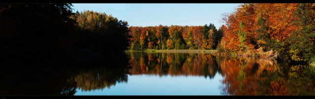 Jesienna panorama
Jezioro Martwe k/Elbląga