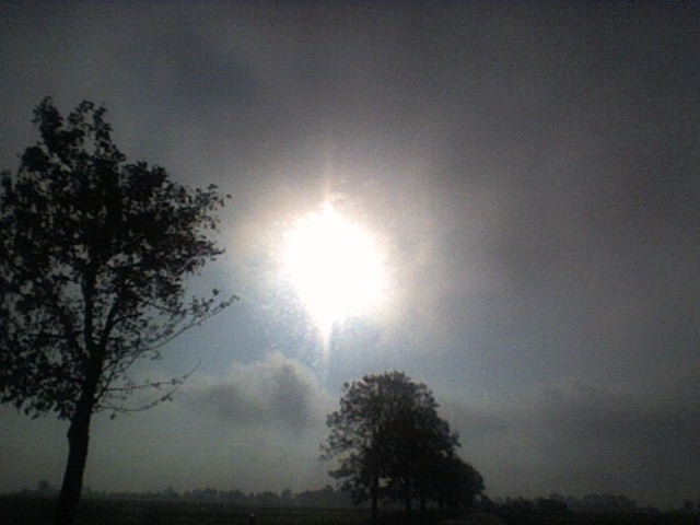 Letnie słońce za mgłą....