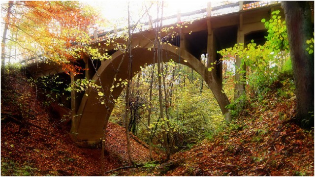 Most Jagodnik -
Jesień to dobra pora na odwiedziny tego mostu jest on wtedy odsłonięty z bujnych zarośli porastających wąwóz w okolicy Jagodnika. (Listopad 2008)