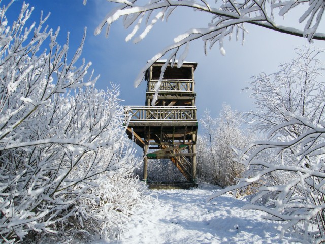 Rezerwat ornitologiczny - wieża obserwacyjna na J.Drużno przy ujściu rzeki Dzierzgoń (Styczeń 2009)