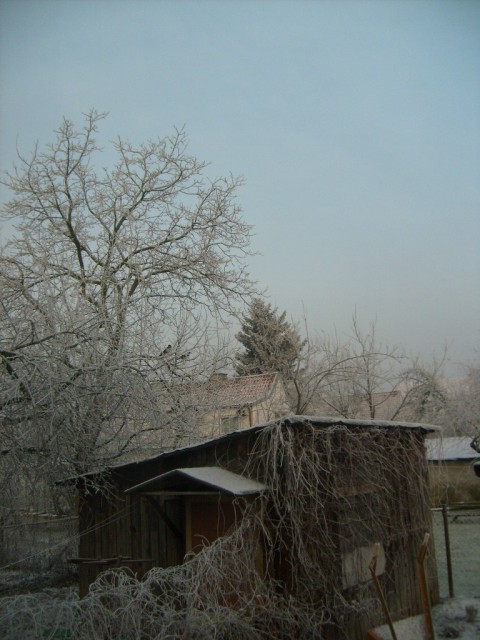 Widok z okna. (Luty 2009)