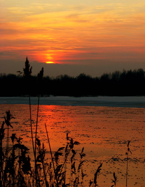 Zimowy zachód słońca (Marzec 2009)