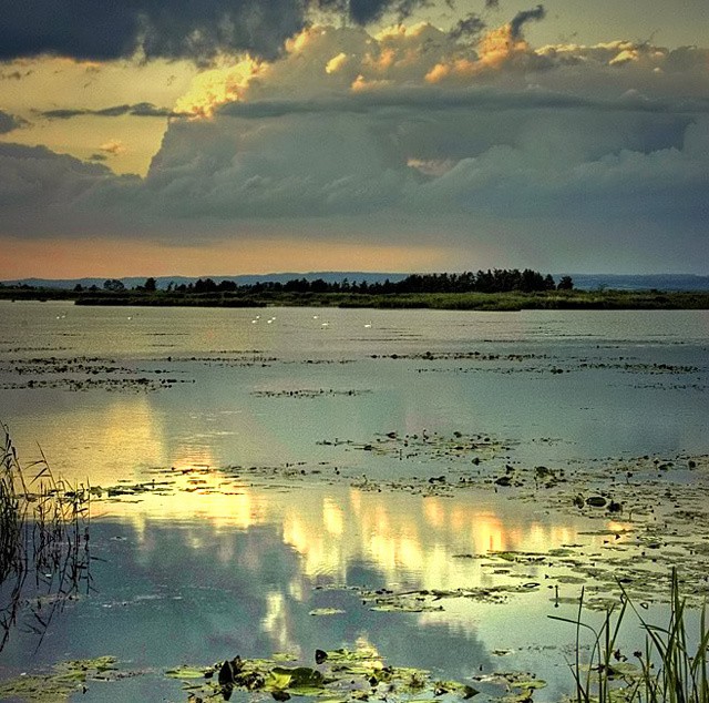 Jezioro Drużno. (Kwiecień 2009)