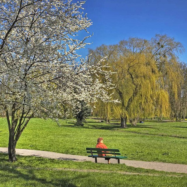 Wiosna w parku (Kwiecień 2009)
