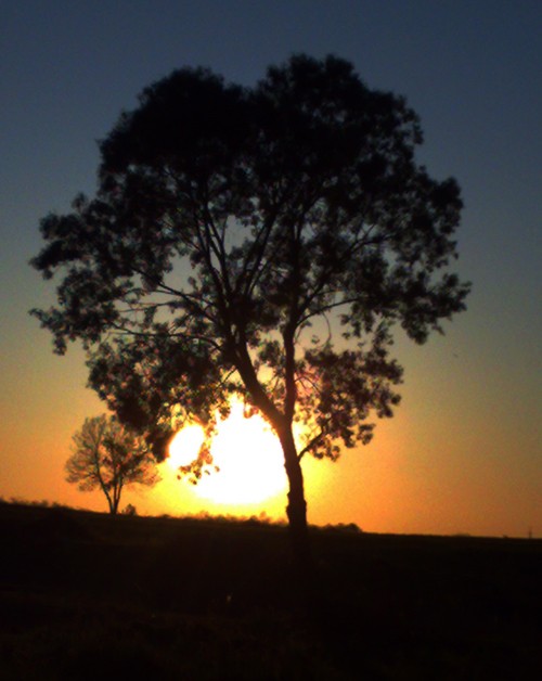 zachód słońca (Maj 2009)