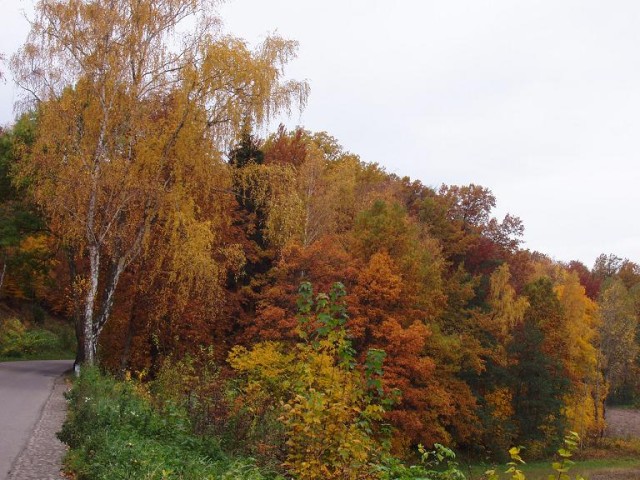 Paleta barw (Październik 2009)