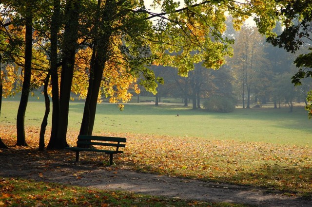 jesienna ławeczka (park modrzewie) (Listopad 2009)