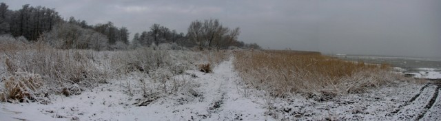 Zima o poranku (Styczeń 2010)