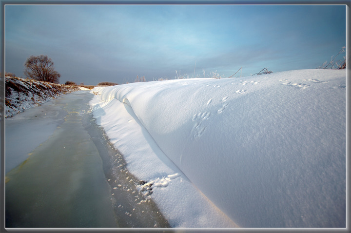 Zimowe ślady - okolice Jeziora Drużno