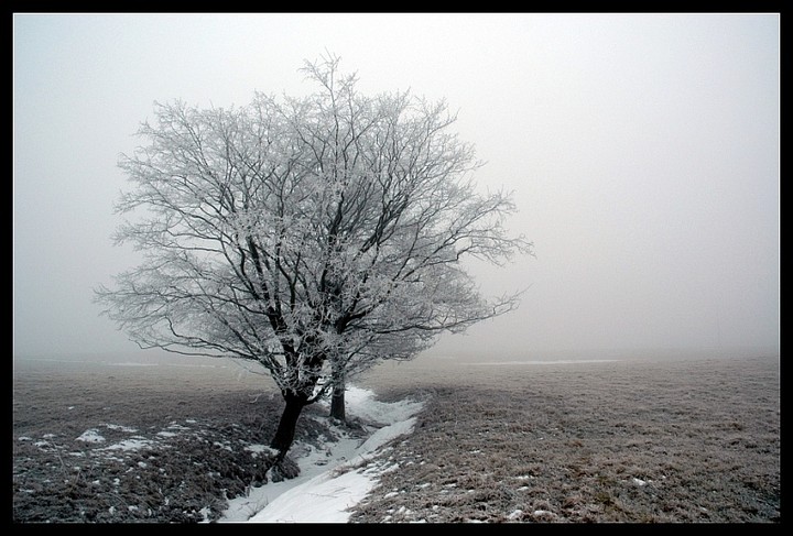 Resztki zimy we mgle, niedaleko Bogaczewa