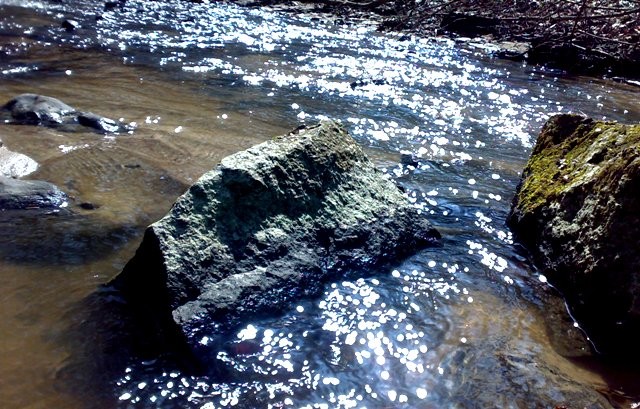 lśniąca rzeka (Kwiecień 2010)