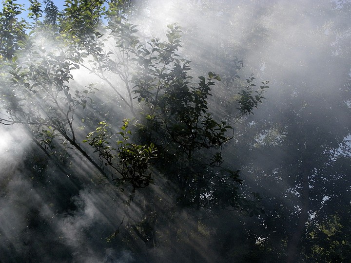 Dym (Sierpień 2010)
