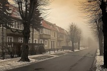 Fotka miesi�ca