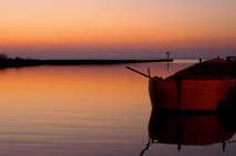Fotka miesi�ca