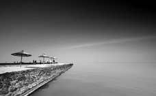 Fotka miesi�ca