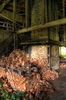 Fotka miesi�ca