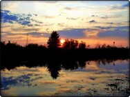 Fotka miesi�ca