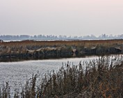 Fotka miesi�ca