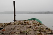 Fotka miesi�ca