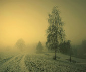 Fotka miesi�ca