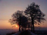 Fotka miesi�ca
