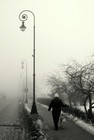 Fotka miesi�ca