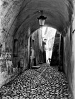 Fotka miesi�ca