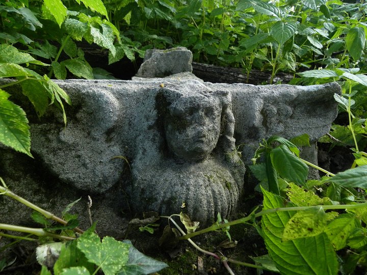 Fragment zniszczonego pomnika nagrobkowego na cmentarzu mennonickim w Tropach Elbląskich.