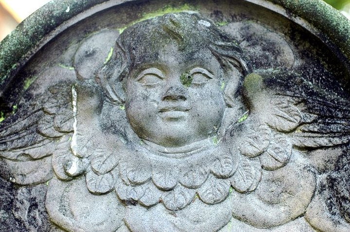 Aniołek z zachowanej XVIII - wiecznej steli rokokowej z Fiszewa.