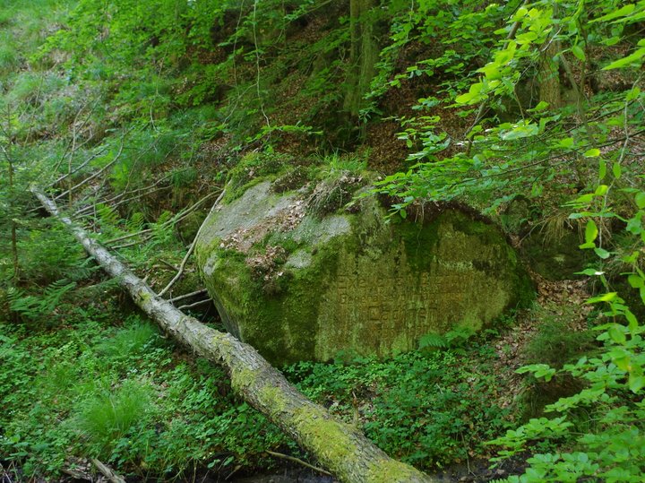 Kamień Etzdorfa w kadyńskim lesie