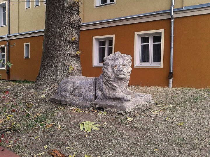 Rzeźba Lwa przy ul.12 lutego (Październik 2014)