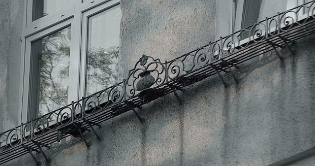 Ozdobna skrzynka na kwiaty na budynku przy ulicy Powstańców Warszawskich