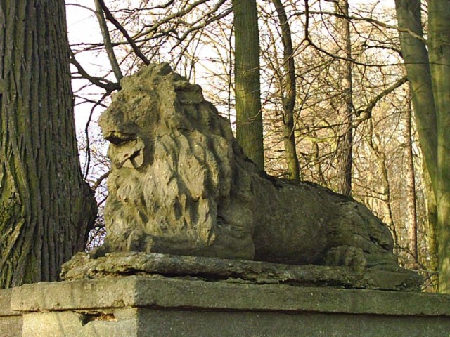 Lew z bramy parkowej w Zajeździe. (Marzec 2008)