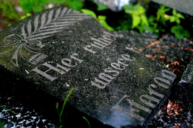 Fragment płyty nagrobnej cmentarza w Kamionku Wielkim.