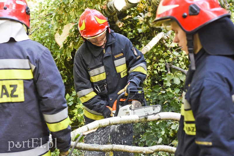 Elbląg, Strażacy kontra żywioł. Wielkie ćwiczenia we Fromborku