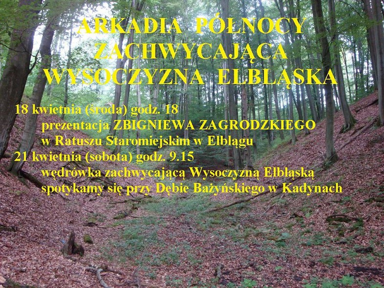 Elbląg, Wysoczyzna Elbląska - Arkadia Północy Elbląg, Wysoczyzna Elbląska - Arkadia Północy