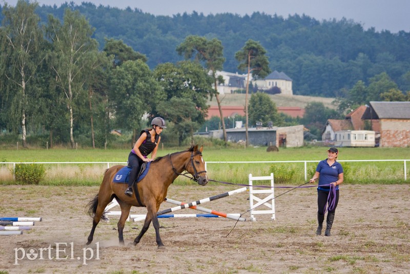 Elbląg, Lekcja jazdy konnej w Stajni Lipnik