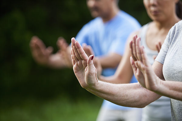 Elbląg, Nabór do sekcji Tai Chi - pierwsze zajęcia bezpłatne