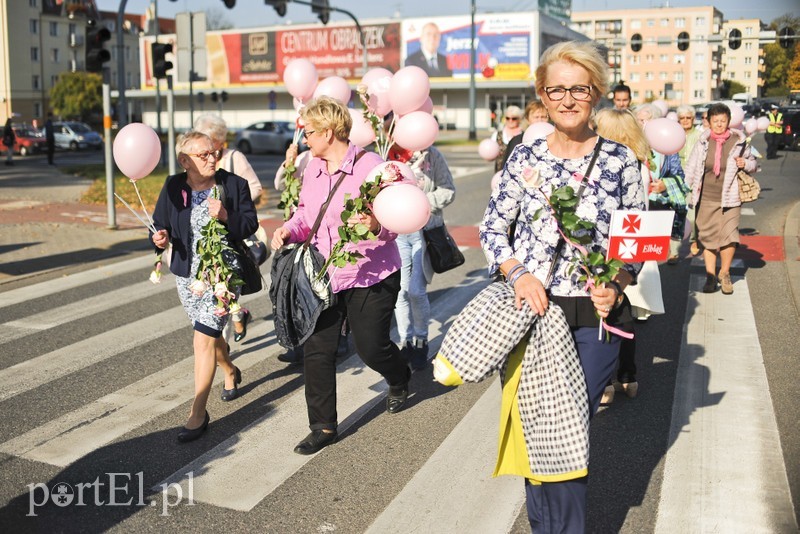 Elbląg, Marsz "Kocham Cię Życie" w Elblągu odbył się po raz siedemnasty Elbląg, Marsz "Kocham Cię Życie" w Elblągu odbył się po raz siedemnasty
