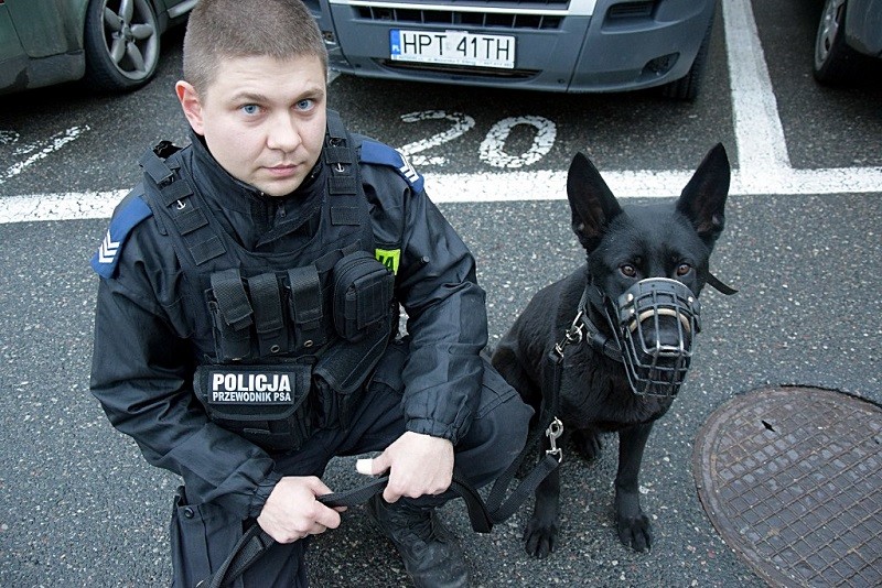 Elbląg, Maja, czyli nowy pies w elbląskiej policji