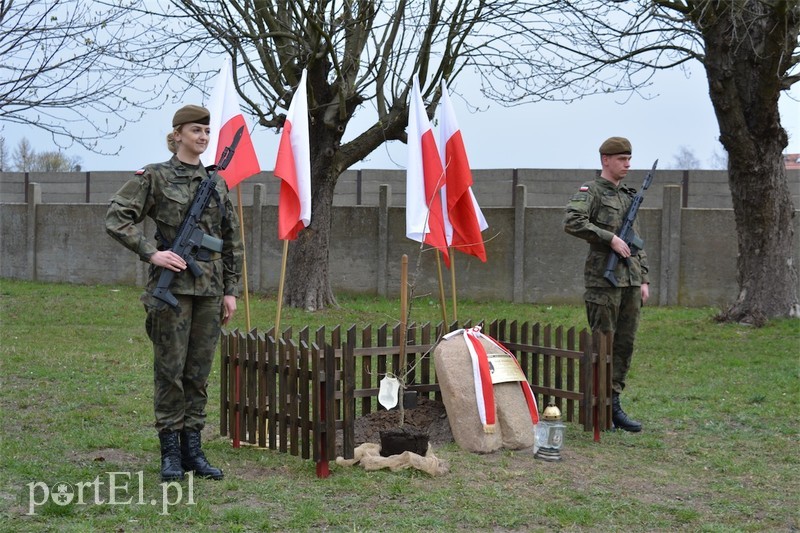 Elbląg, Dąb w nowej jednostce upamiętni generała