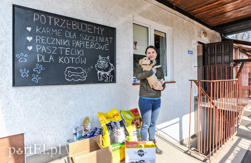 Elbląg, Małgorzata Krawczyk i piesek Piasek, który też czeka na nowy dom Elbląg, Małgorzata Krawczyk i piesek Piasek, który też czeka na nowy dom