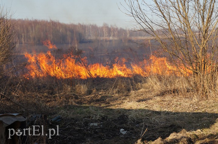 Elbląg, Pożar w okolicy ul. Łęczyckiej i Wschodniej, kwiecień 2013 r.
