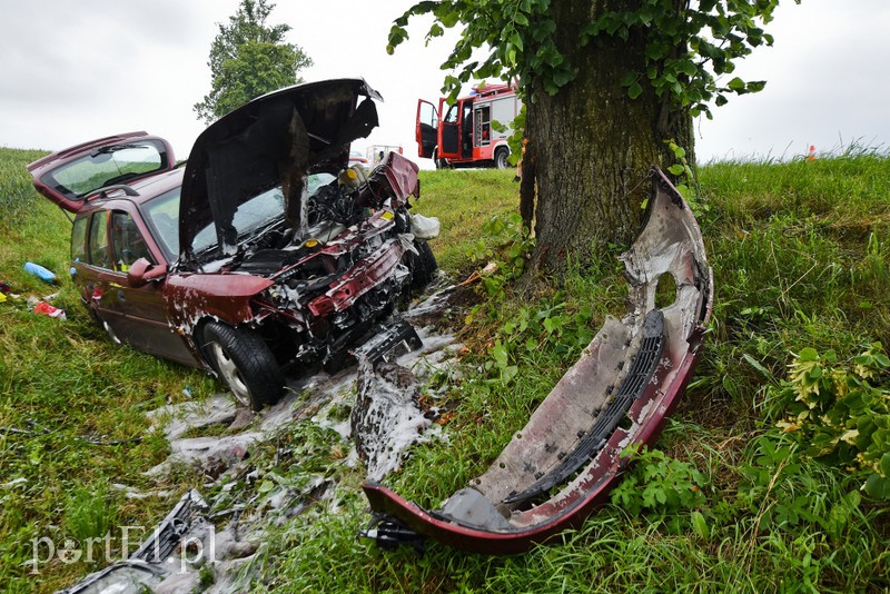 Elbląg, Opel uderzył w drzewo