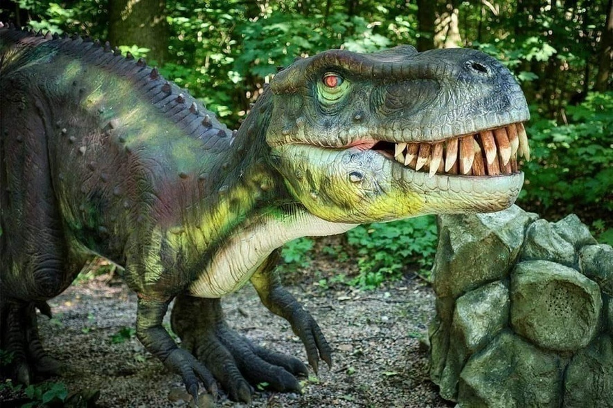 Wygraj wejściówki na urodziny Dinoparku w Malborku!