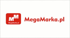 Elbląg, MegaMarka, czyli tworzenie wizerunku firmy